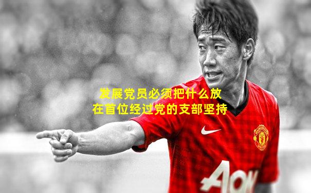 发展党员必须把什么放在首位经过党的支部坚持