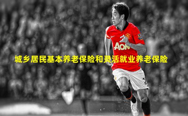 城乡居民基本养老保险和灵活就业养老保险