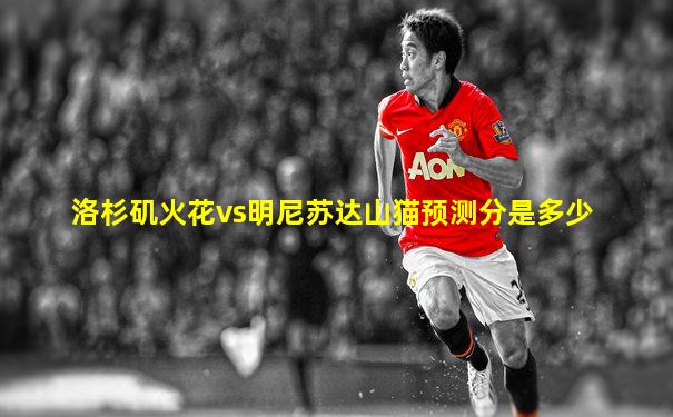 洛杉矶火花vs明尼苏达山猫预测分是多少